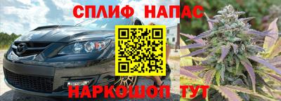МДПВ Пушкино