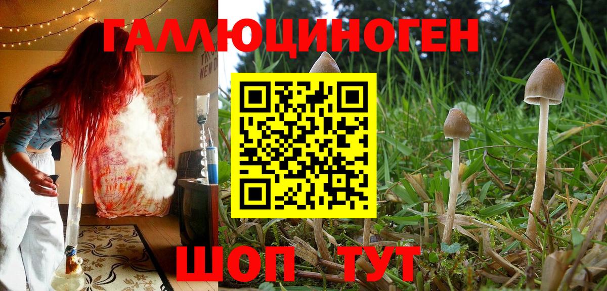 Псилоцибиновые грибы мицелий  Серов 