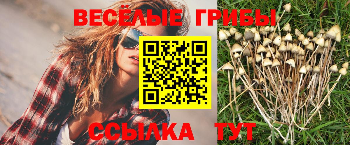 Псилоцибиновые грибы ЛСД Серов